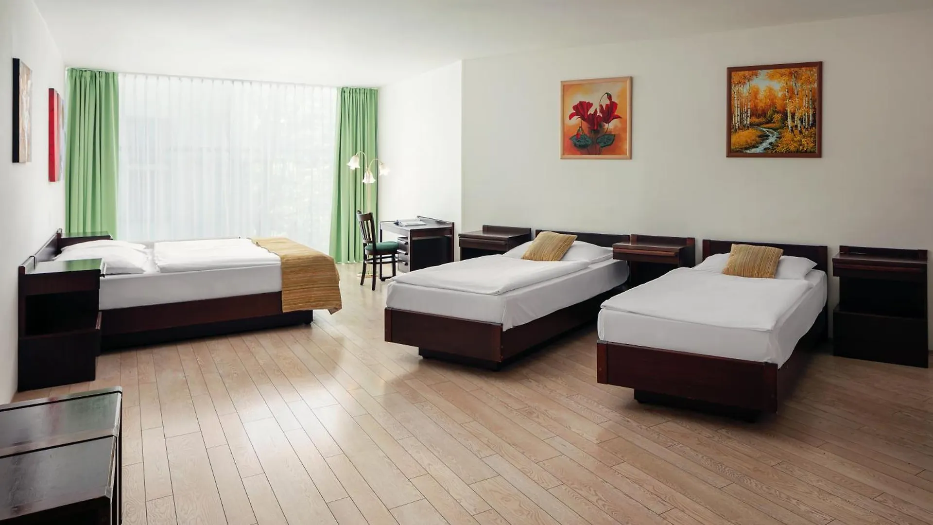 Hotel Ankora Praga