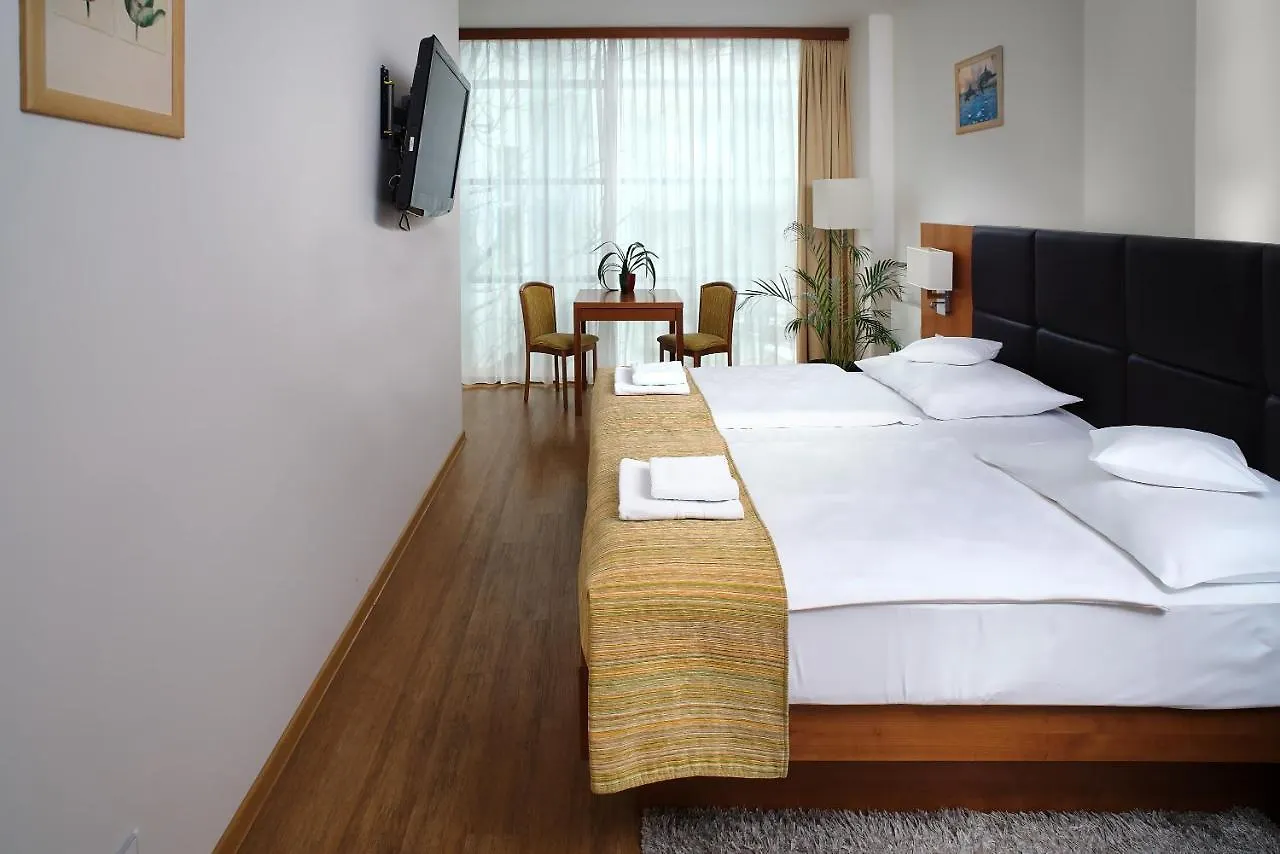 Hotel Ankora Prague 3*,